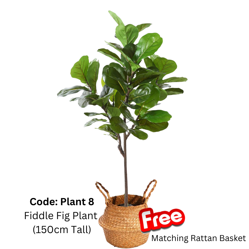 [SG SELLER] Artificial Plant Artificial Fiddle Fig Leaf Potted Plants