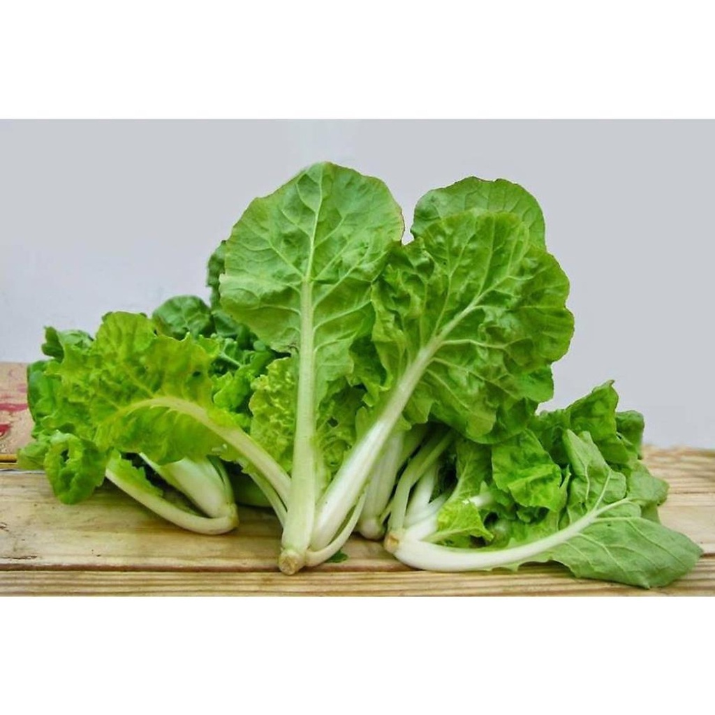 Hạt Giống Cải Bẹ Dún Rado 67 20gr