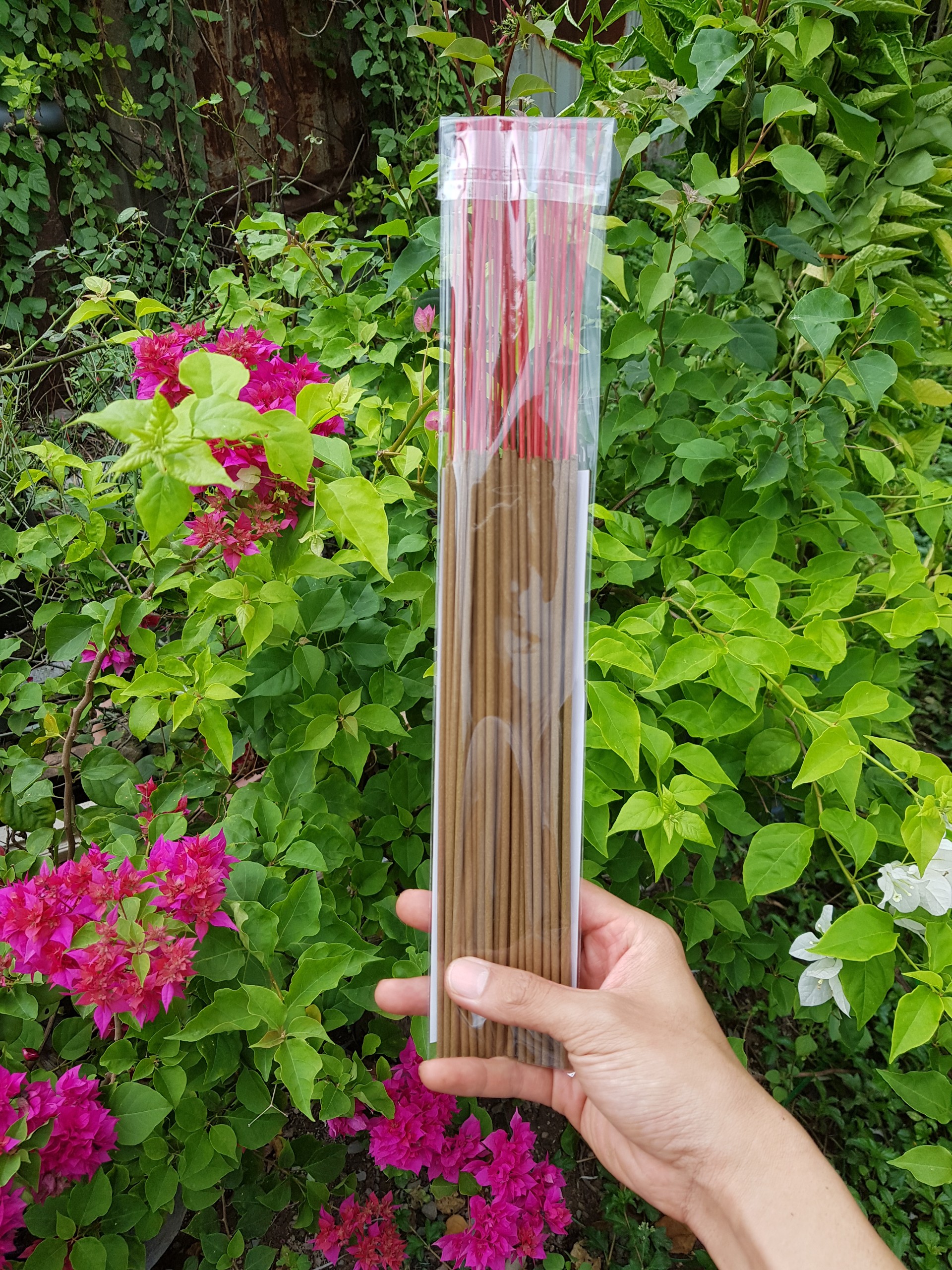 Nhang Quế Đặc Biệt - Thẻ 50 cây