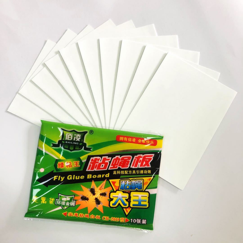 Combo 10 miếng keo dán ruồi loại lớn 17,5x25cm