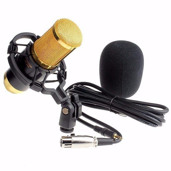 HCM - Micro thu âm live stream BM900