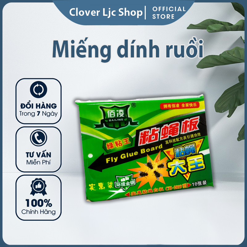 Combo 10 miếng keo dán ruồi loại lớn 17,5x25cm