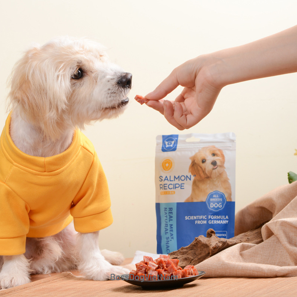 [HCM]Bánh thưởng chó cưng Diary  BossDog