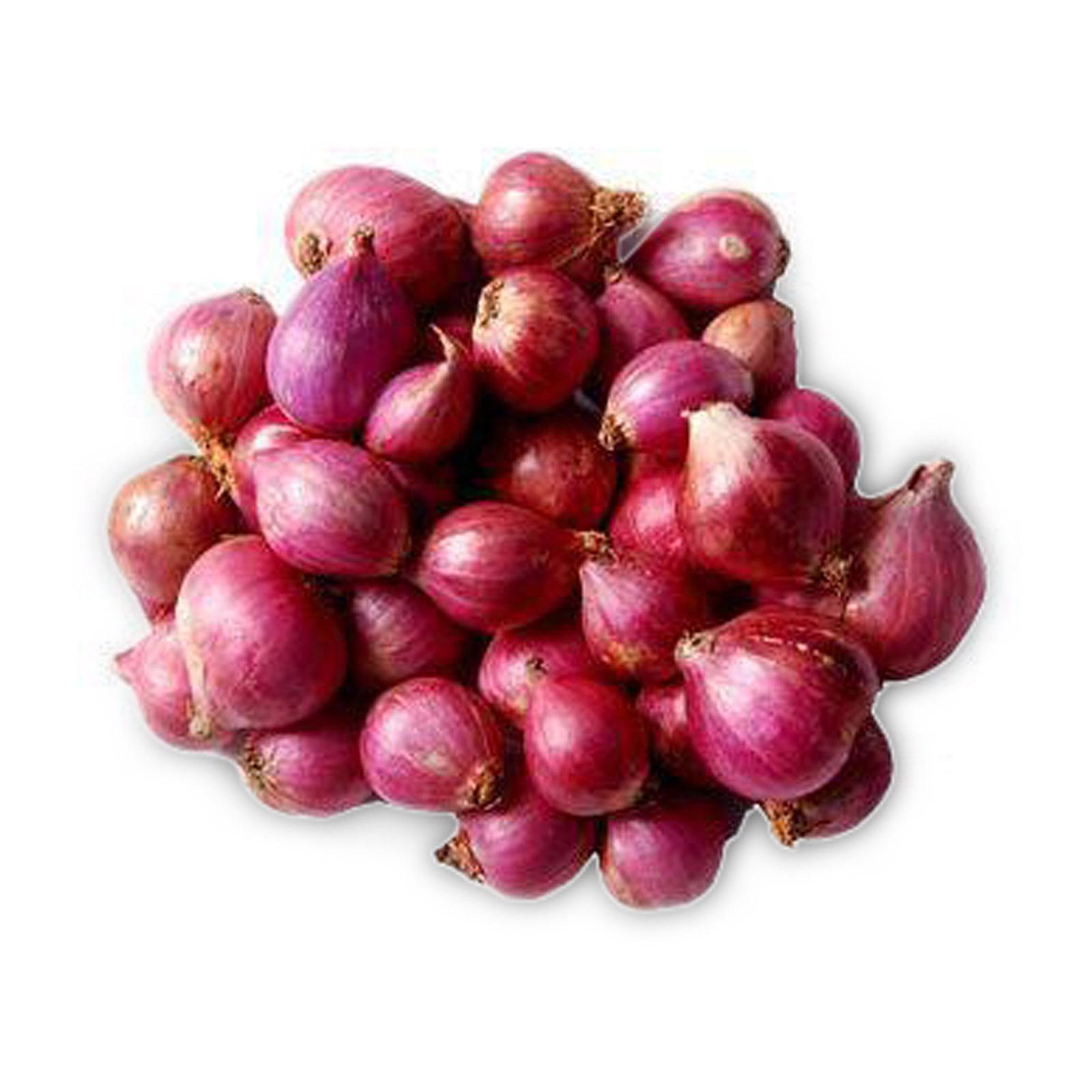 India Fresh Shallot Small Red Onion Lazada Singapore