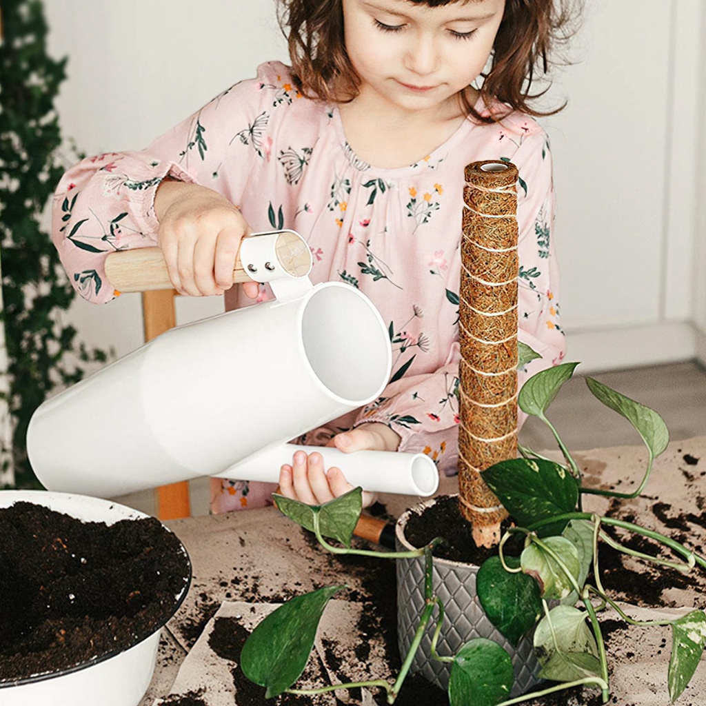 Trụ cột xơ dừa cho cây leo bám cột 30/40/50cm -Aeneas Shop