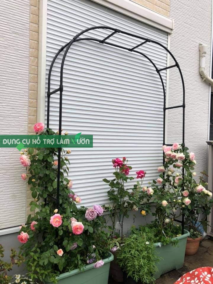 Khung vòm cổng cho hoa hồng leo cao 210cm chiều sâu 31cm màu đen thumbnail
