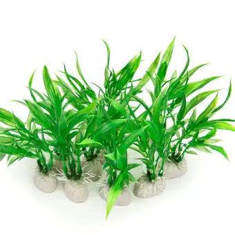 fish tank decorations plants