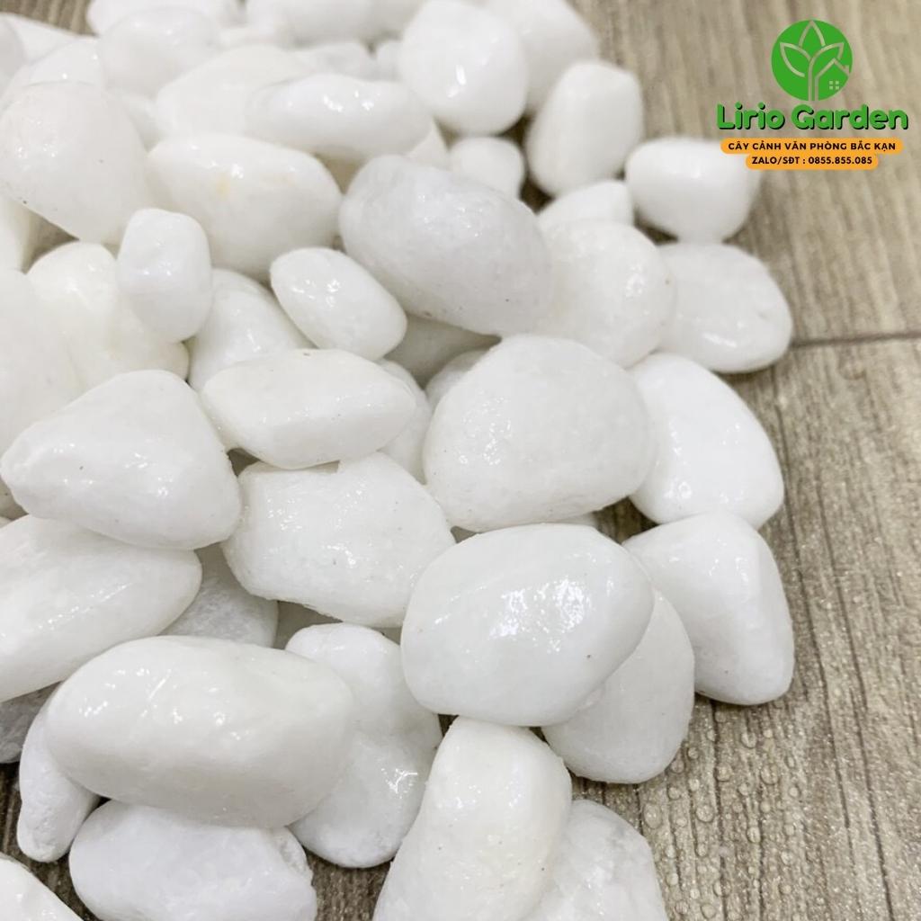1kg đá trắng trang trí tiểu cảnh , cây cảnh , hồ cá