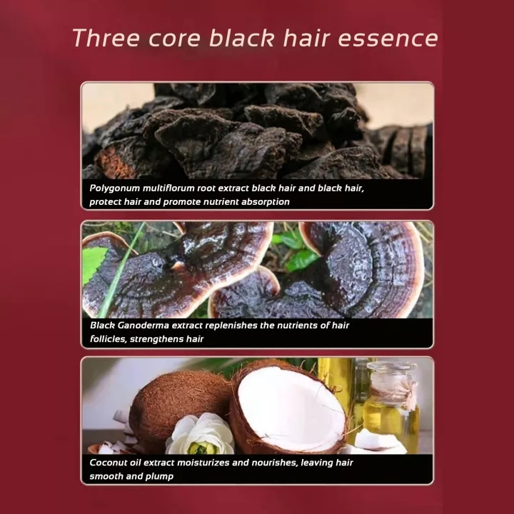 Japan formula Dầu gội thường trực thực vật hữu cơ làm đen tóc tinh chất cho Nam Nữ 300ml