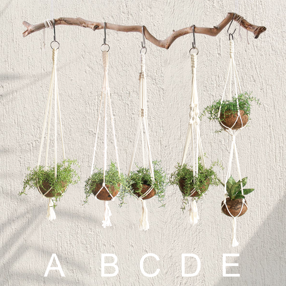 MycoGREEN - Macrame Hanger