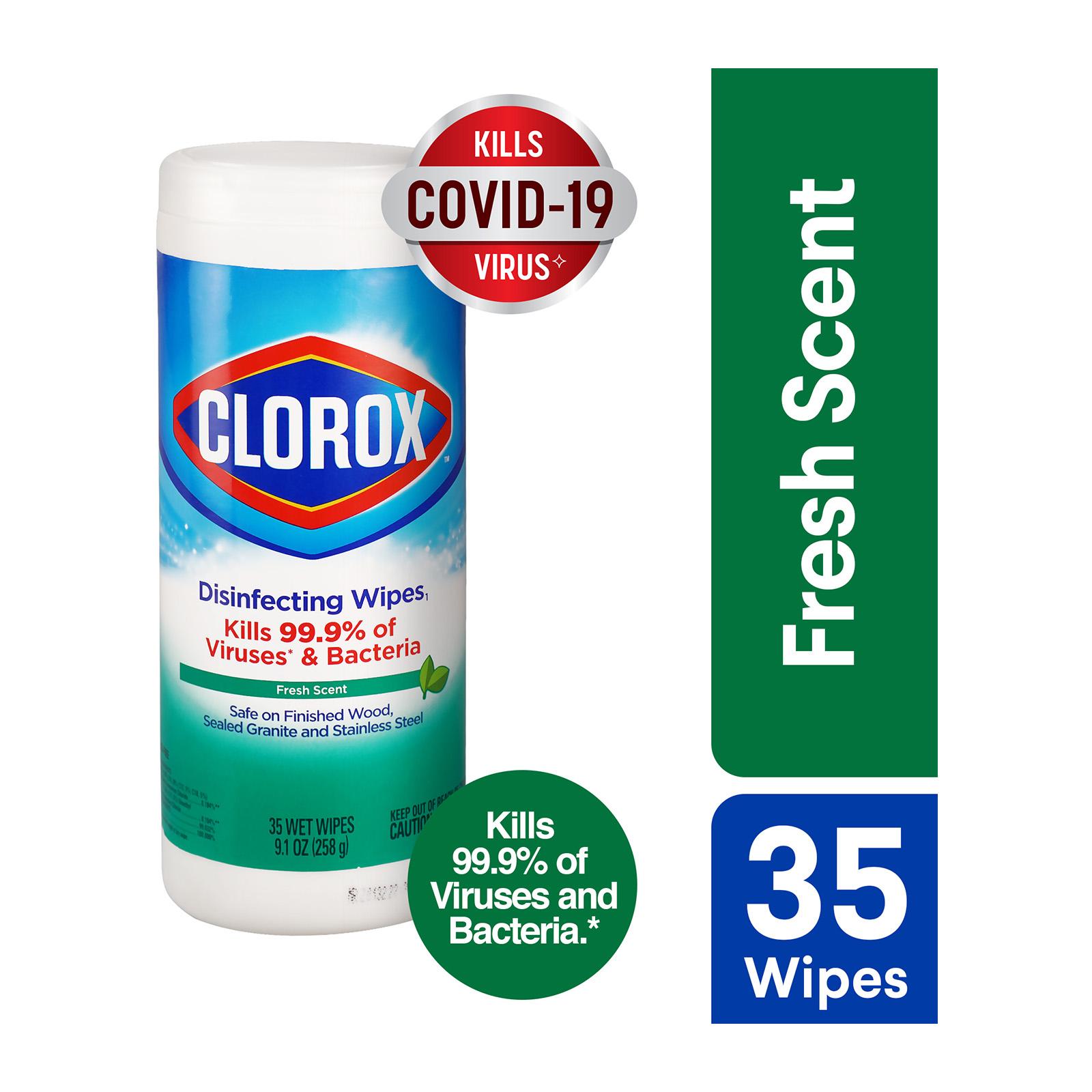 Clorox Disinfecting Wipes 35 Sheets Original Fresh Scent Lazada