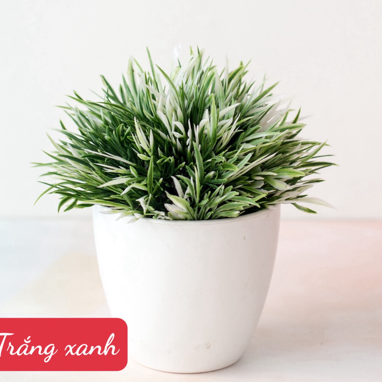 Châu cây lá cỏ trang trí cỏ giả nhiều màu