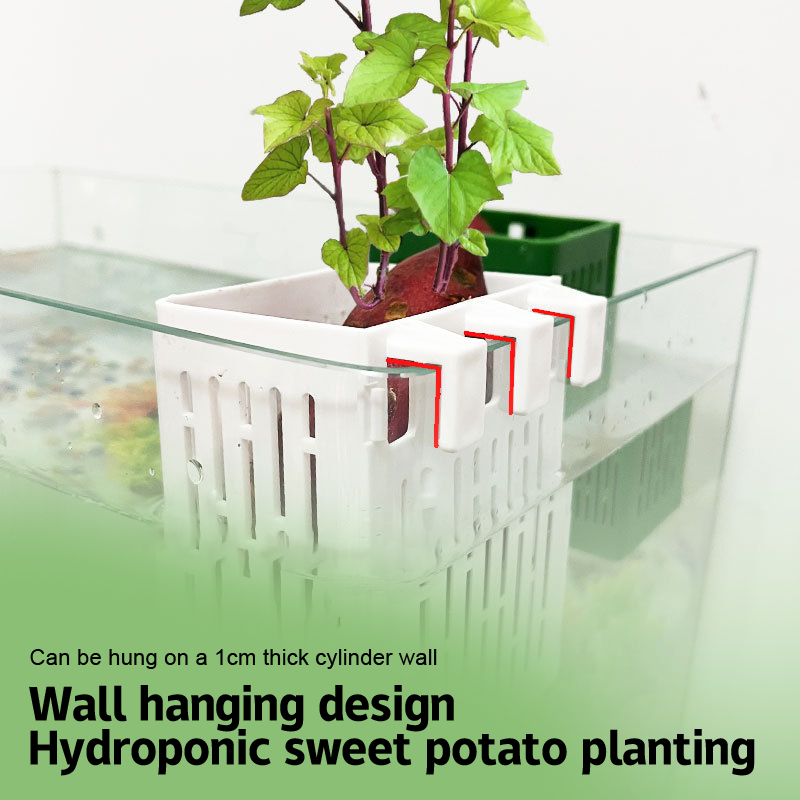 Hanging%20Aquarium%20Plant%20Holder%20Plastic%20Aquarium%20Hooks%20Planter%20Cups%20Planter%20Basket%20Fayshow%20-%20Image%206