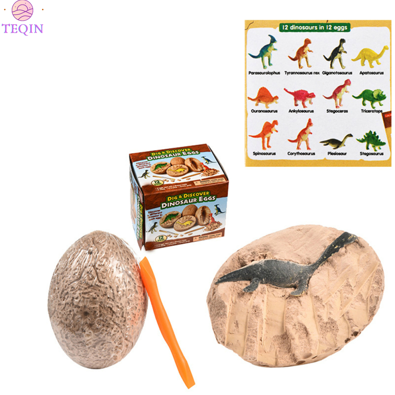 TEQIN IN stock Dino Eggs Excavation Set of 12 Dinosaurs Fossil Dig Up Kit