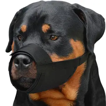 Collardirect Adjule Dog Muzzle Small Medium Large Dogs Set 2pcs Soft Breathable Nylon Mask Safety Mouth Cover Anti Biting Barking Pet Muzzles Black Red L Xl 2 Lazada Singapore Collardirect Adjule Dog Muzzle