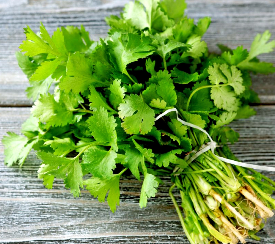 Hạt mùi, hạt ngò khô, ngò rí (nấu sâm, nấu phở)