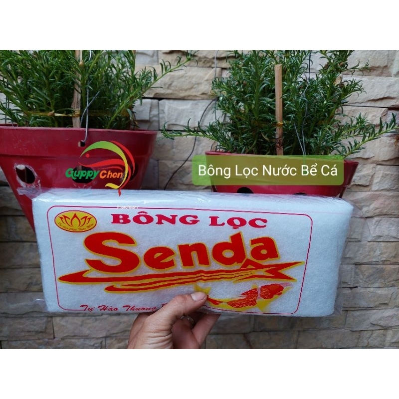 bông lọc dùng cho hồ cá