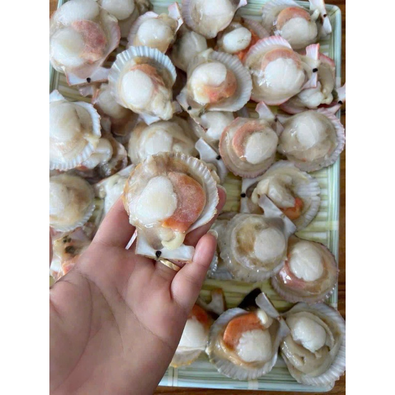 SÒ ĐIỆP TÁCH NỬA MẢNH bịch 1kg (giao tphcm)