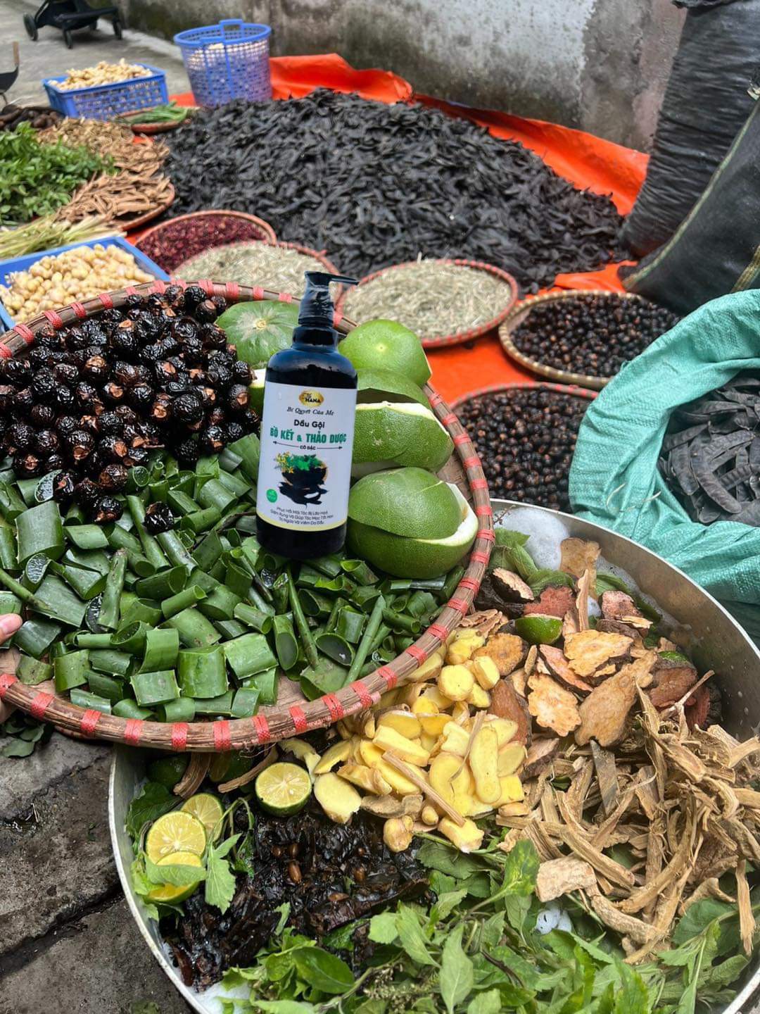 Dầu gội bồ kết cô đặc