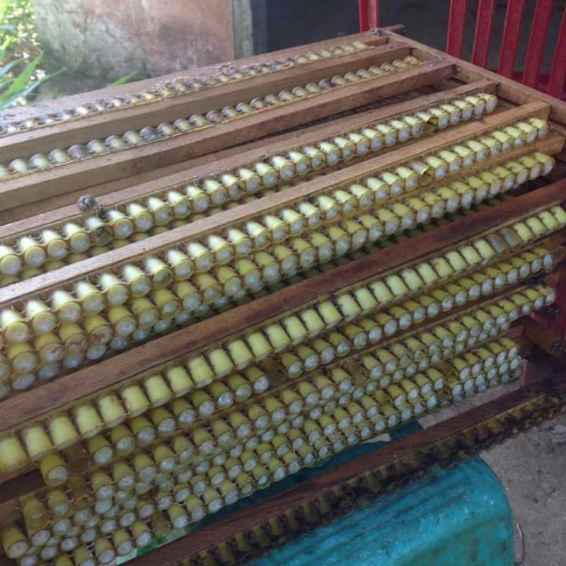 COMBO 2 hũ sữa ong chúa 200gr