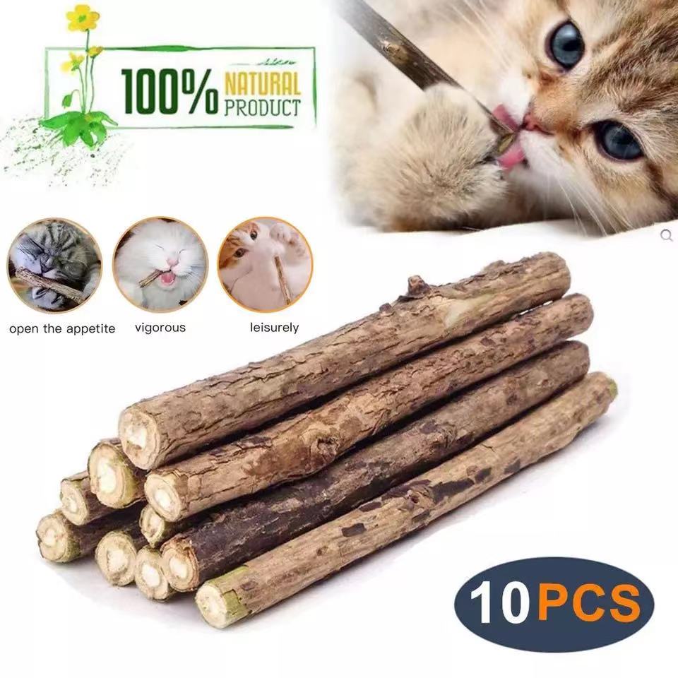 cat toys for dental health