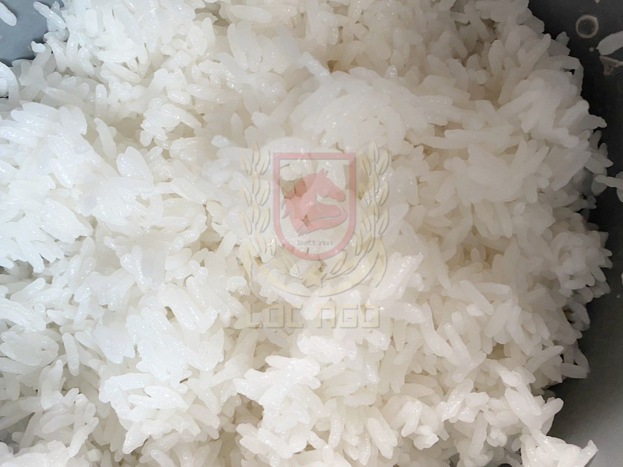 Gạo Nàng Hoa Gò Công - Túi 1kg [ mẫu thử Gạo Nàng Hoa Gò Công ]
