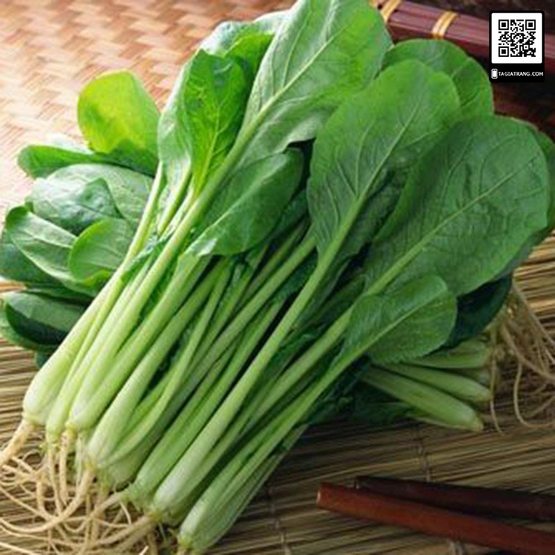 Hạt giống cải ngọt - gói 20 gram