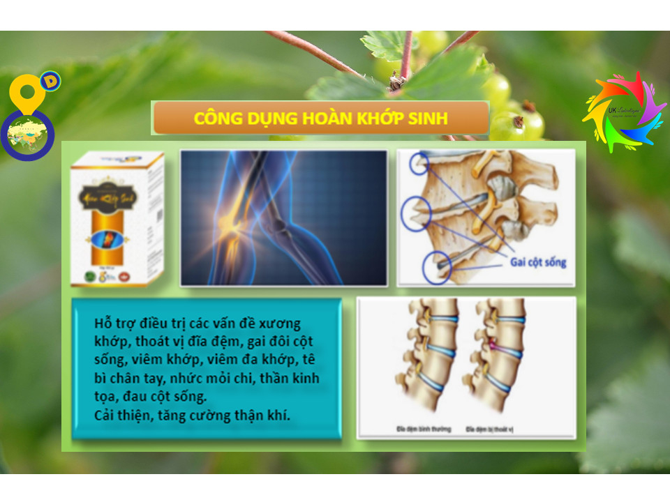 THỰC PHẨM CHỨC NĂNG HOÀN KHỚP SINH