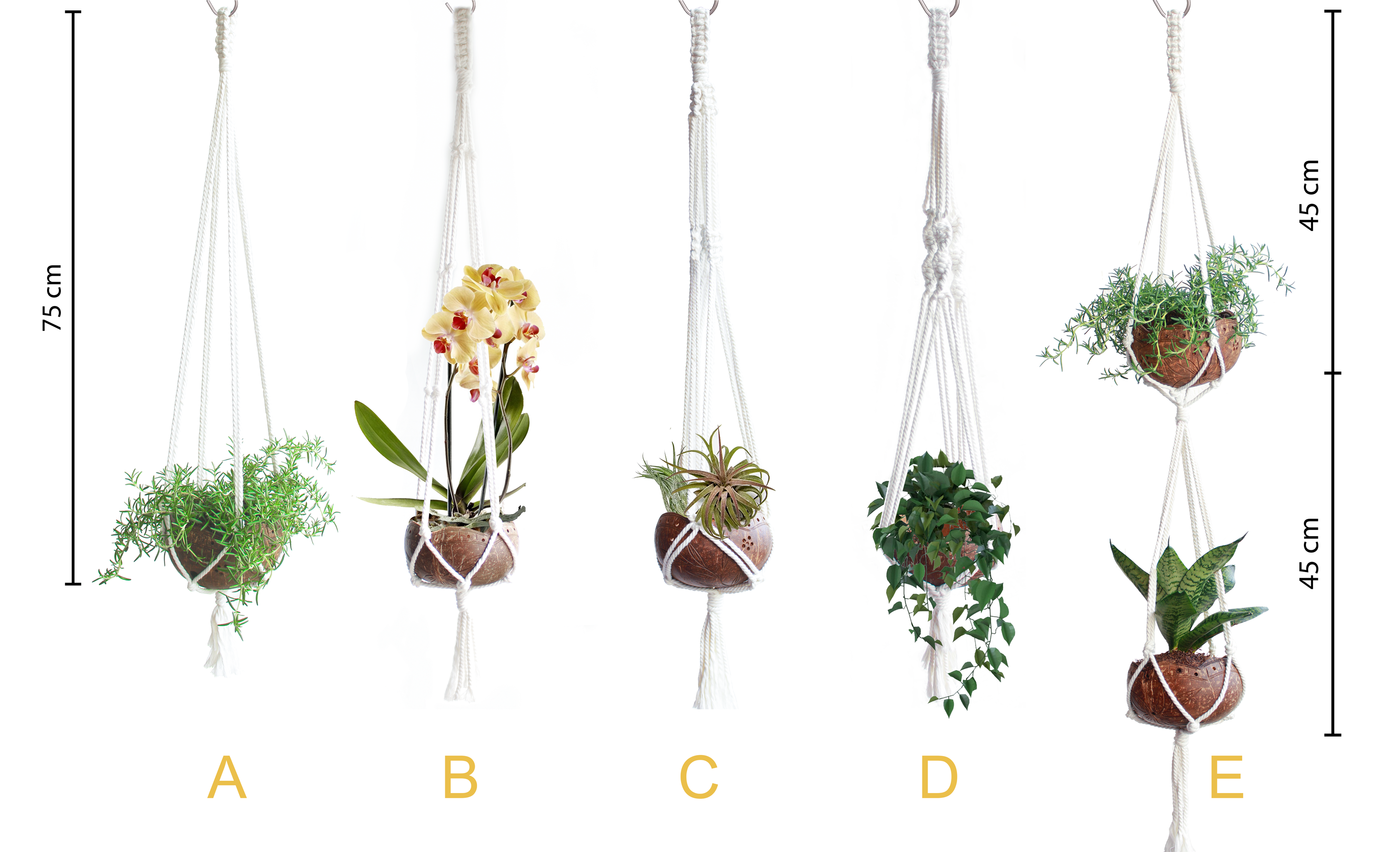 MycoGREEN - Macrame Hanger