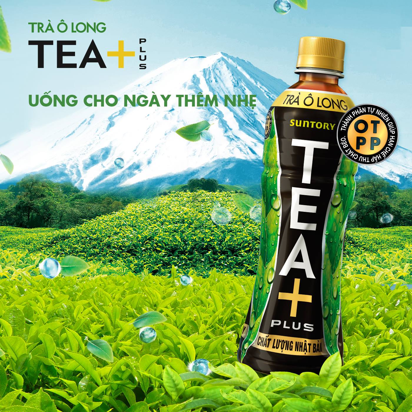 Thùng 12 Chai Trà Ô Long Tea Plus 1L/Chai