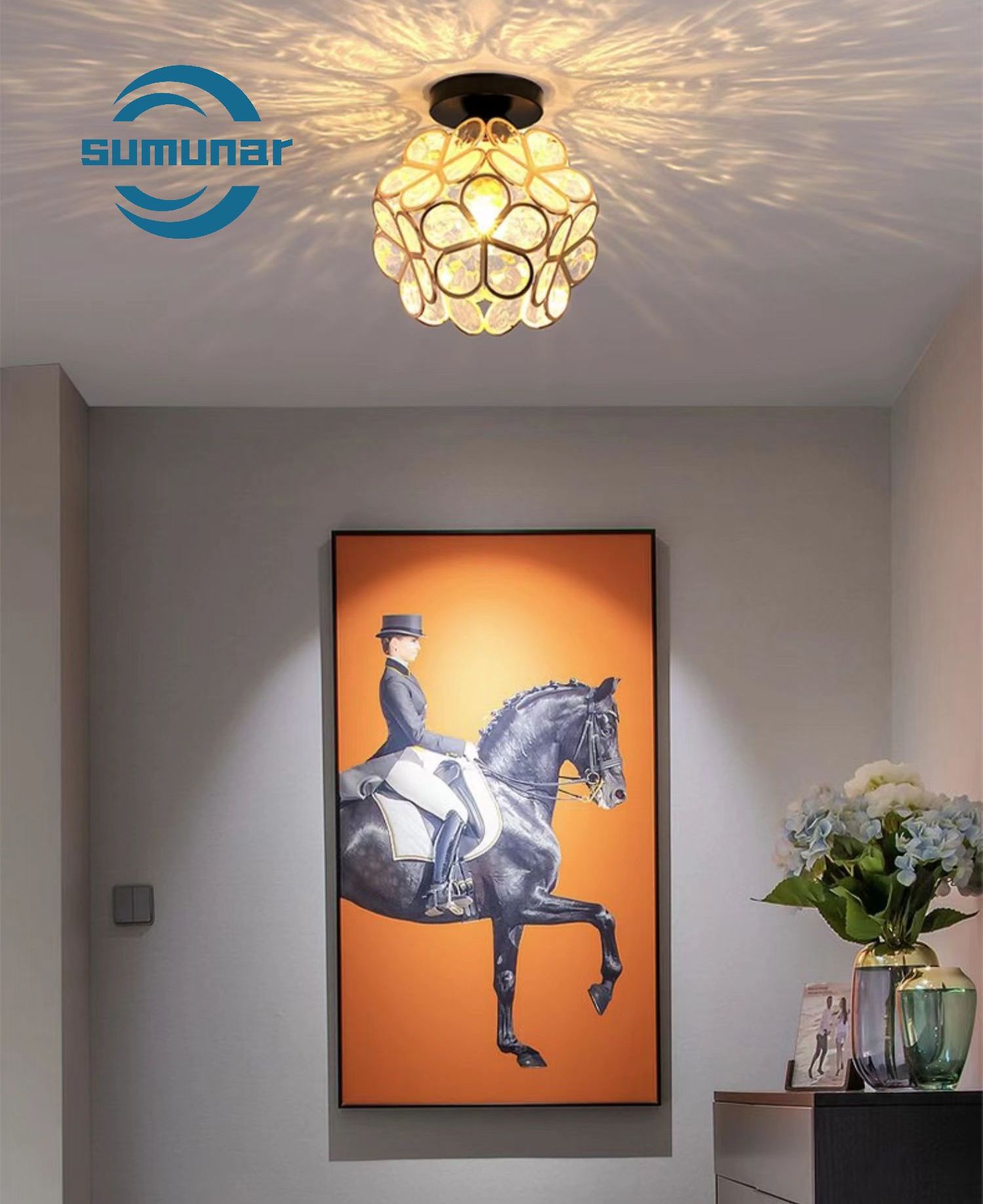 Đèn trần pha lê LED 20cm 9w Làm mờ ba màu