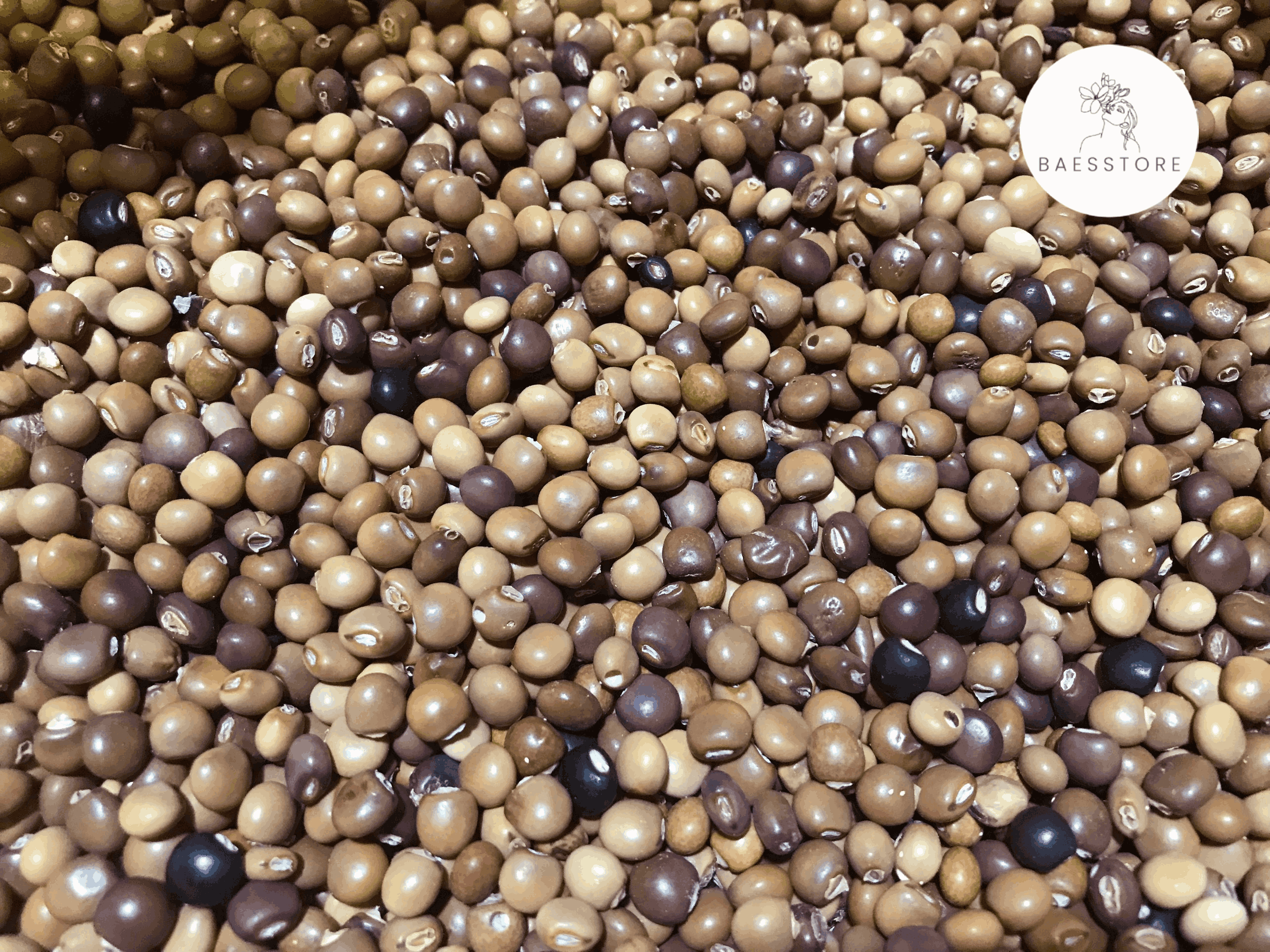 Hạt đậu săng (đậu chiều) Đắk Lắk gói 500gr/1kg