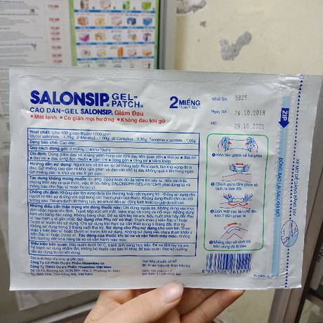 Túi 2 Miếng dán lạnh SALONSHIP