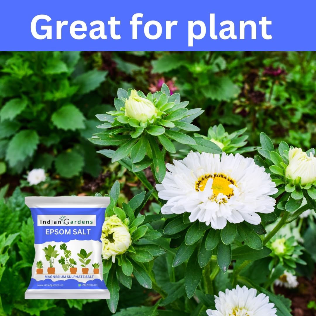 Epsom%20Salt%20Fertilizer%20For%20Plants%20-%201%20Kg%20-%20Image%206