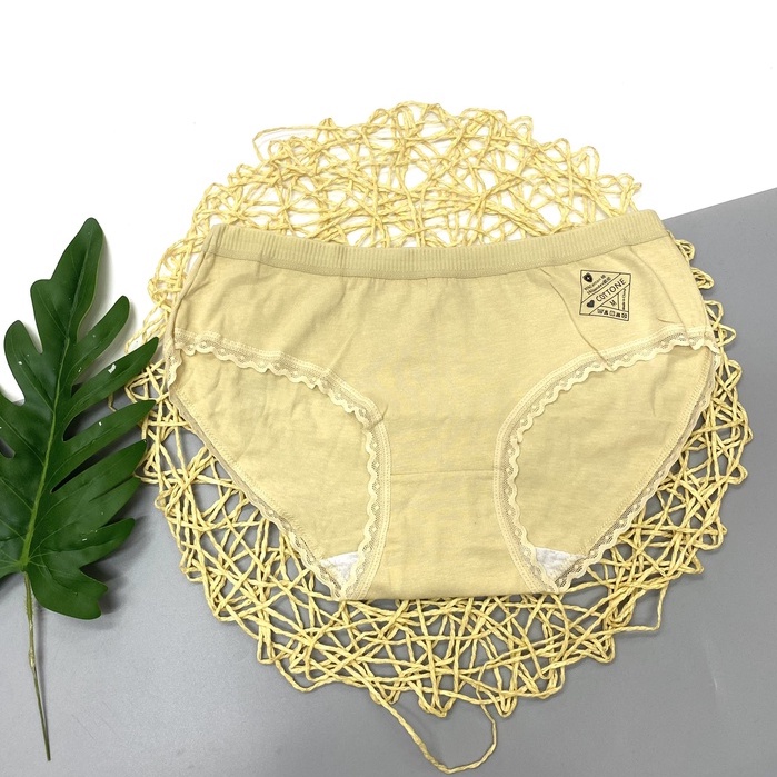Quần Lót Nữ Kháng Khuẩn, Chất Cotton Co Dãn 4 Chiều Evalim