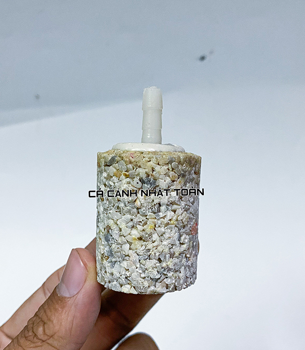 "hoàn tiền đến 10%" cục sủi oxy cho bể cá cảnh muối tiêu cao 6cm