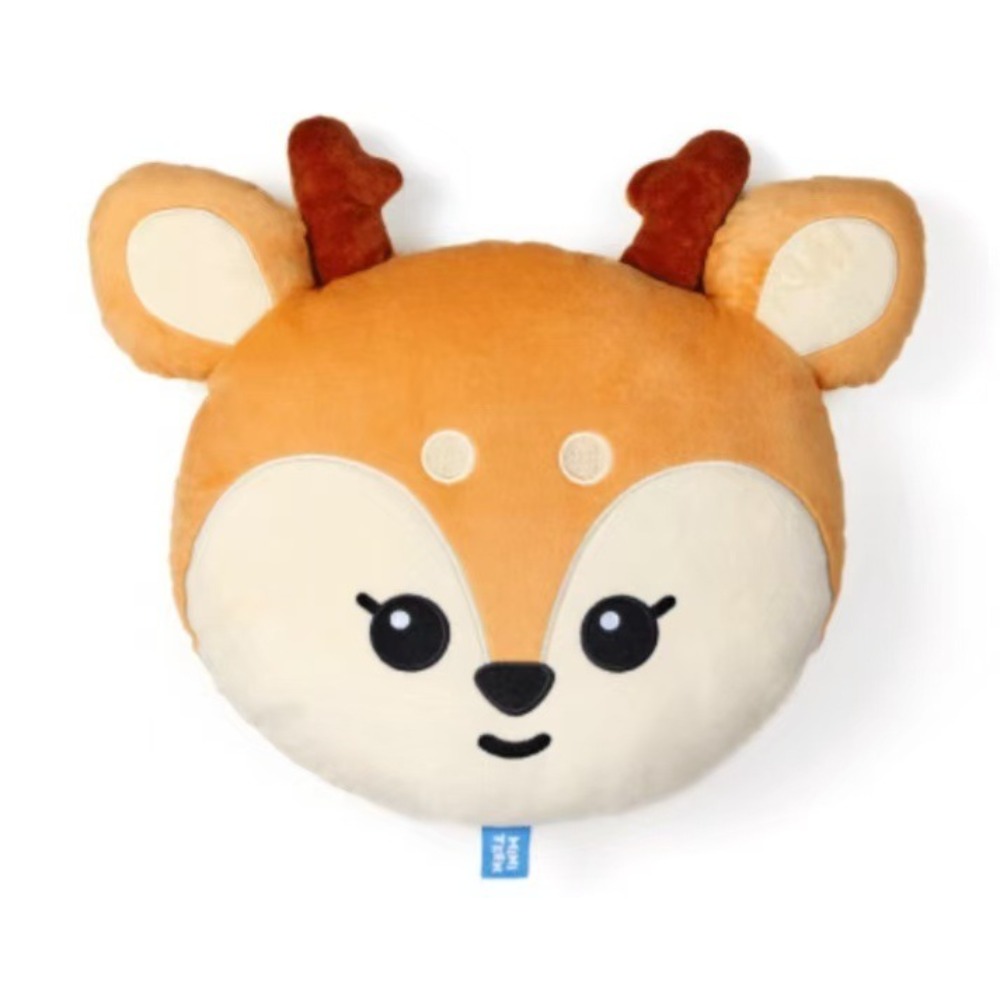 JIUBUY JEONGHAN WONWOO Miniteen Face Cushion 35cm Cartoon Plush