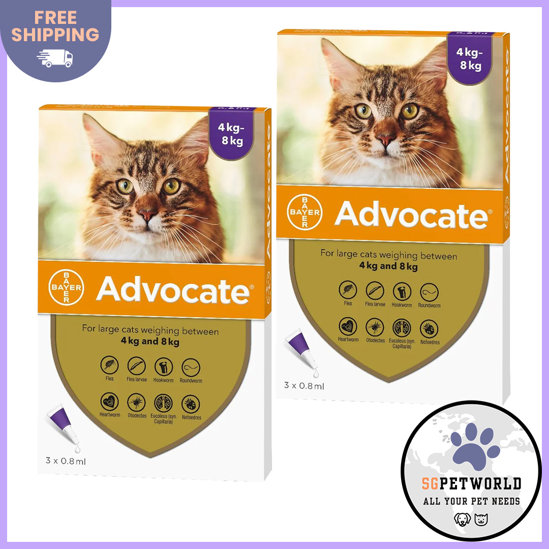 Advocate for Cats For Cats Over 4Kg (Purple) Pack Lazada Singapore