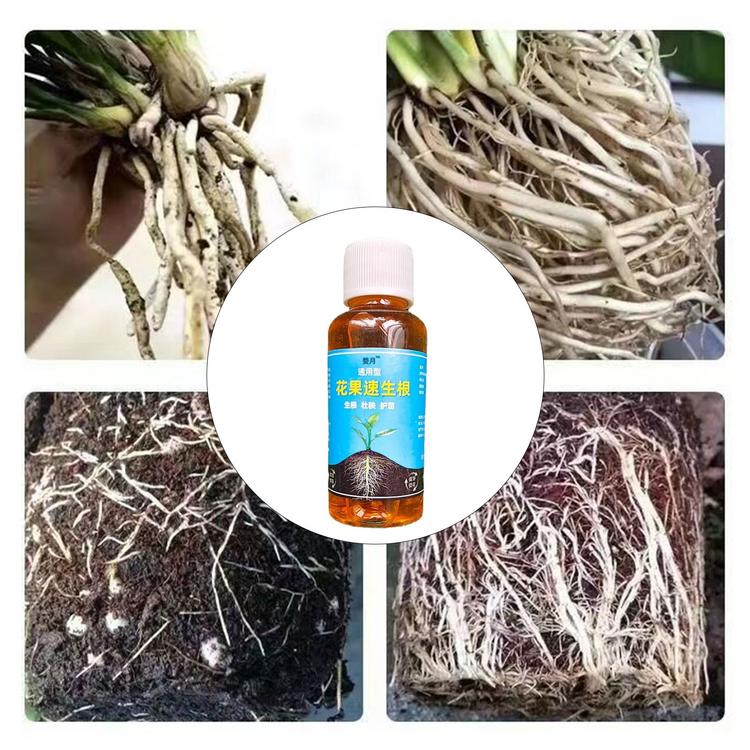Root Enhancer for Plants Fertilizer Solution for Plant Growth Liquid Root Stimulator Root Booster for Plant Flower Transplanting Root Growth Enhancer 1.7 Fl Oz everywhere