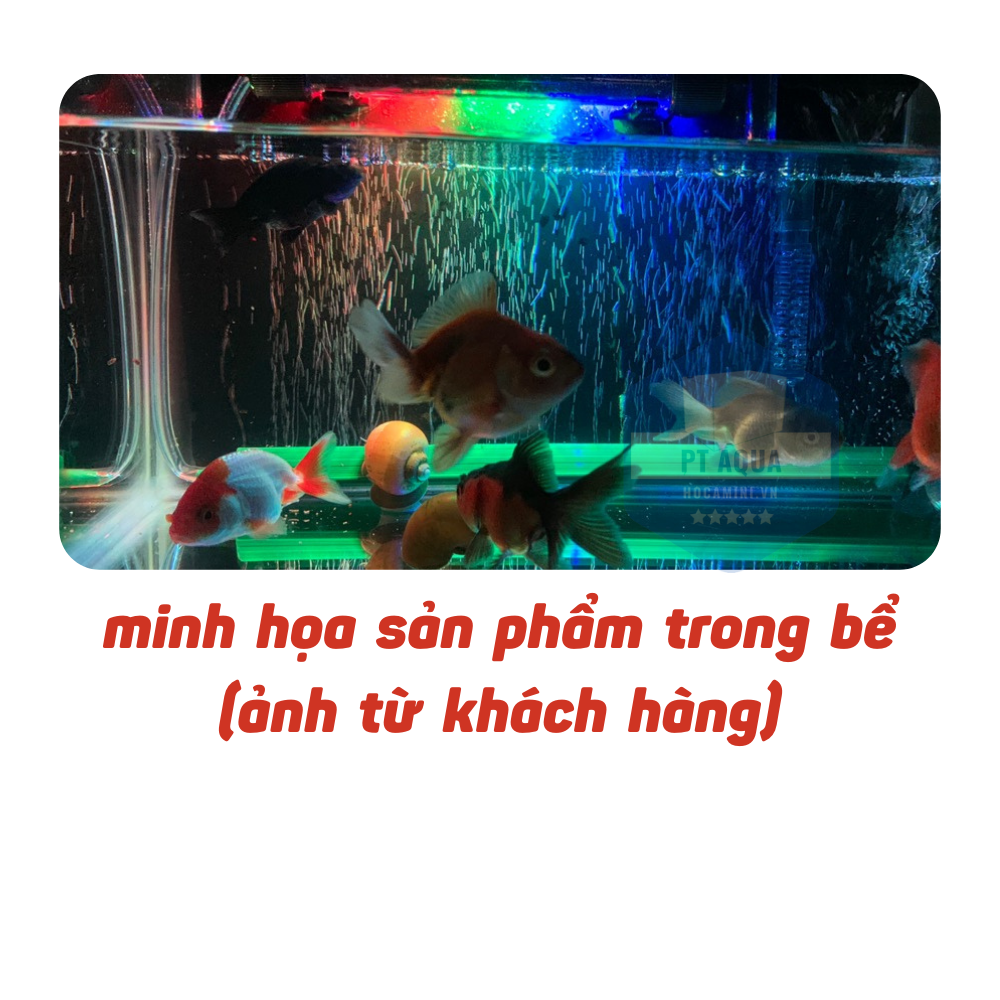 [Hoàn Tiền 10%] Thanh sủi oxy hồ cá