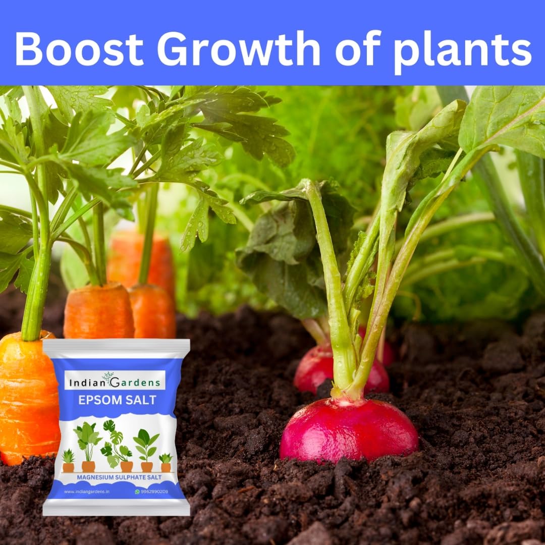 Epsom%20Salt%20Fertilizer%20For%20Plants%20-%201%20Kg%20-%20Image%203