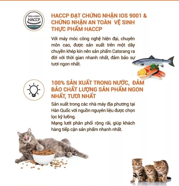 Hạt Khô Cho Mèo con - Catsrang Kitten 1,5kg