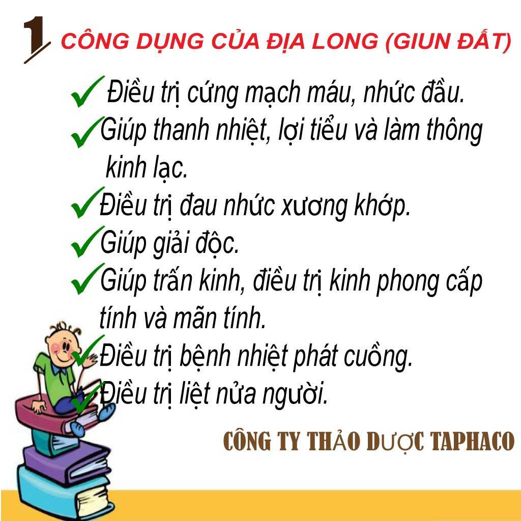 Địa long ( giun đất ) khô 100g - tấn phát