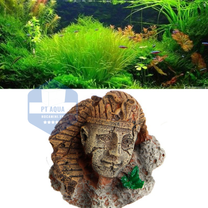 Phụ kiện trang trí hồ cá mini