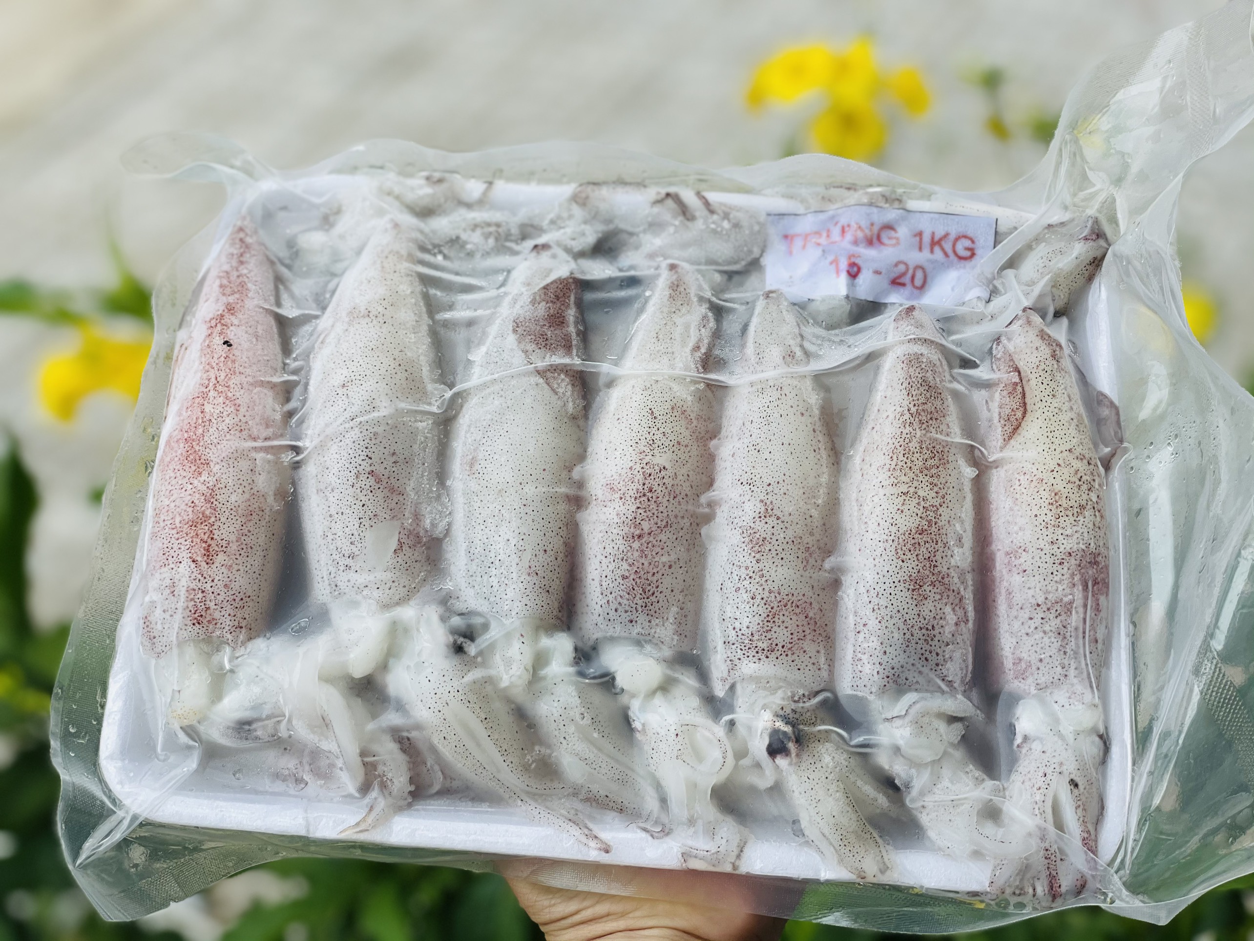 [GIAO NHANH 2H HCM] Giá sỉ 1kg Mực trứng cà mau