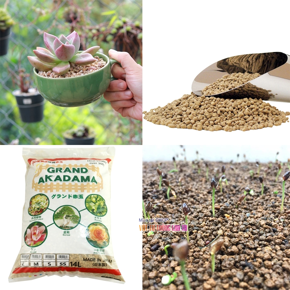 Đất akadama, đất trồng bonsai akama size M giá tốt