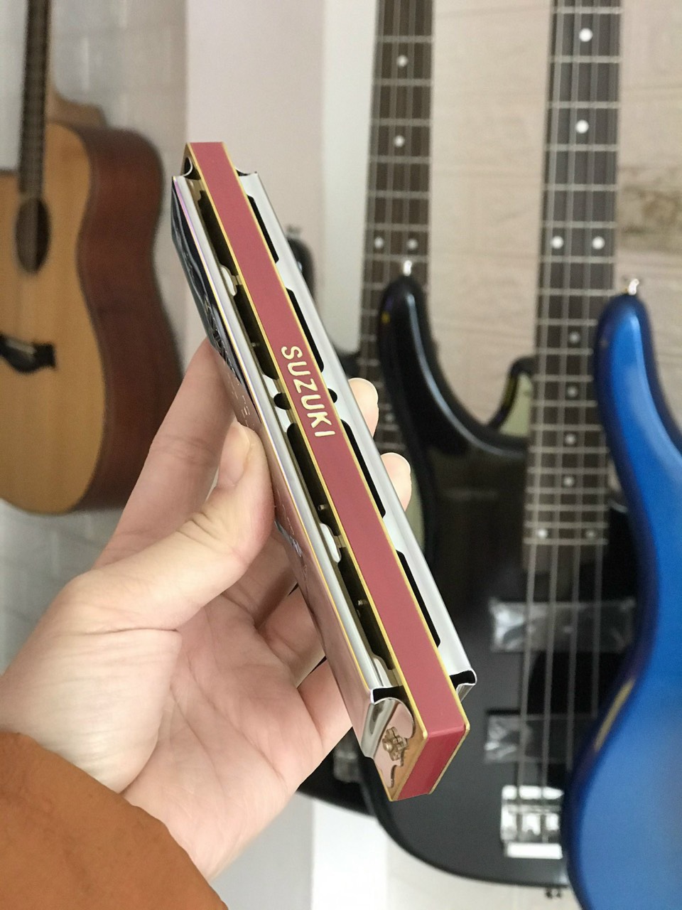 KÈN HARMONICA TREMOLO STUDY 24 LỖ
