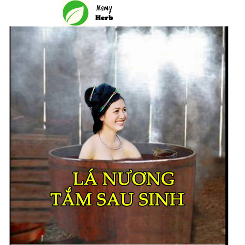 Lá Nương Tắm Sau Sinh