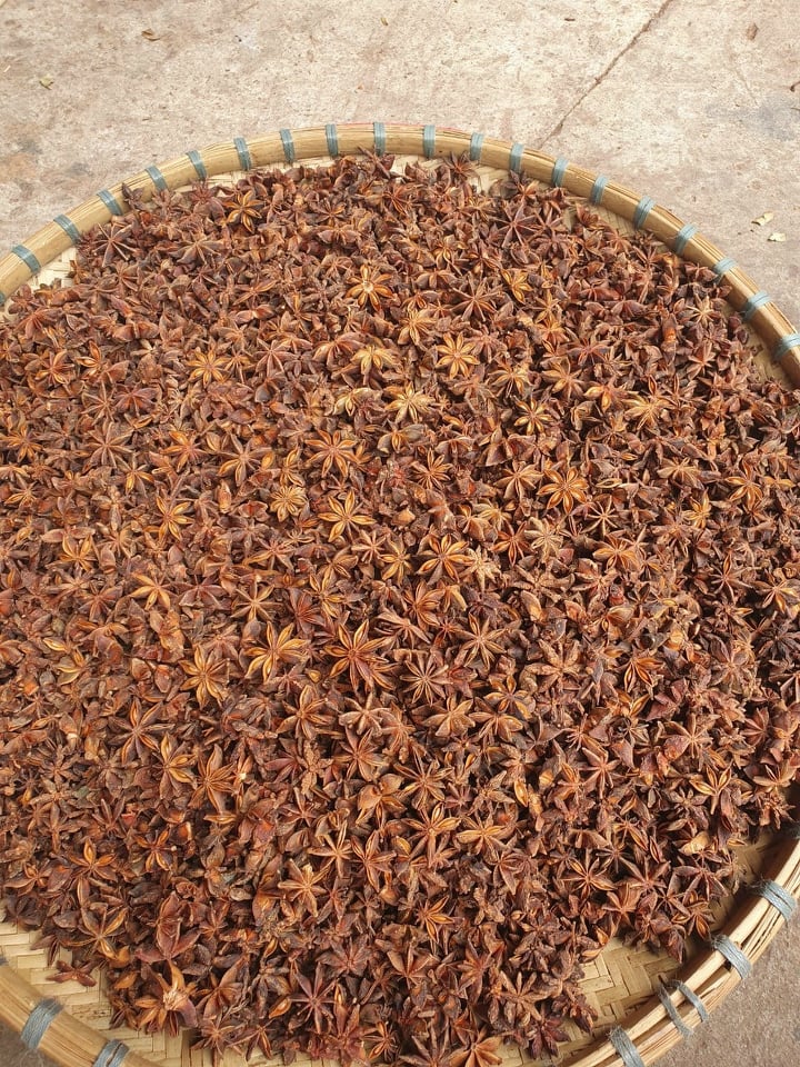 HOA HỒI LẠNG SƠN 1KG - lẻ bằng sỉ