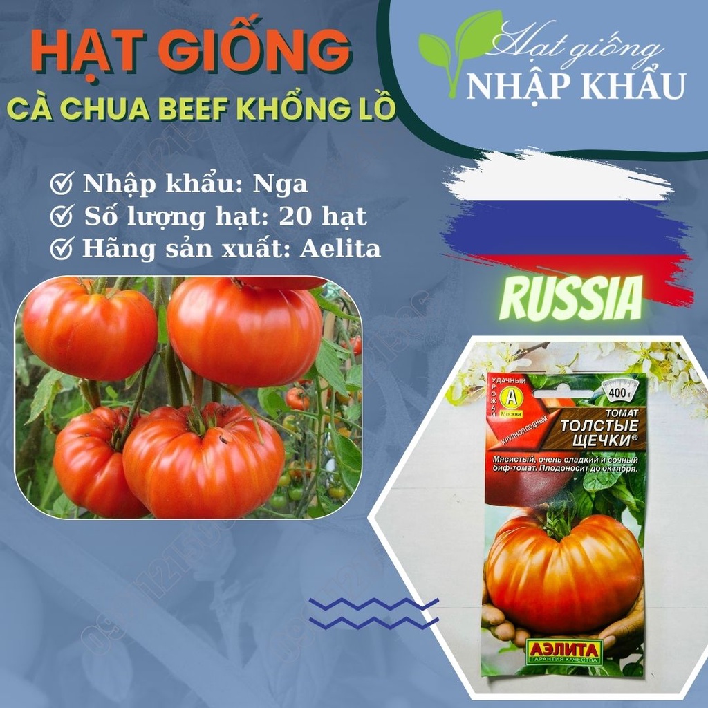 Hạt giống cà chua beef khổng lồ. Xuất xứ: Nga. 20 hạt/gói